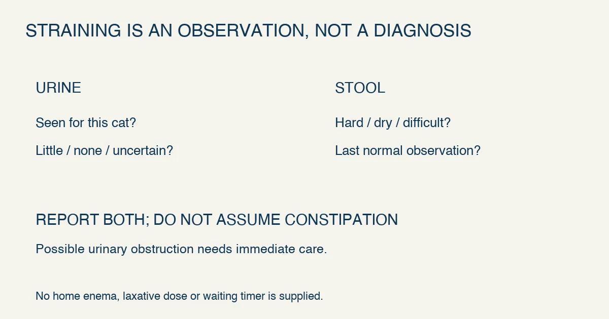 Original straining decision reminder separates urine observations from stool observations and directs unknown urine output to immediate veterinary advice rather than a constipation remedy.