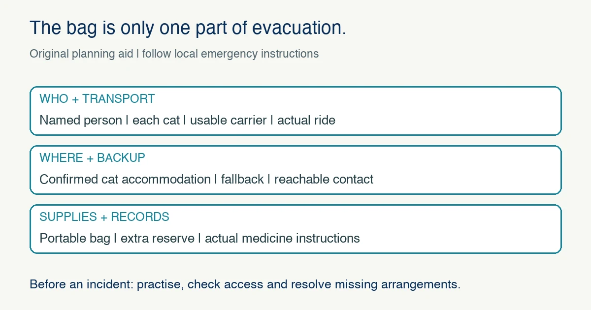 Evacuation planning requires a named transporter and carriers, confirmed cat accommodation and a backup, and portable supplies with actual medication records.