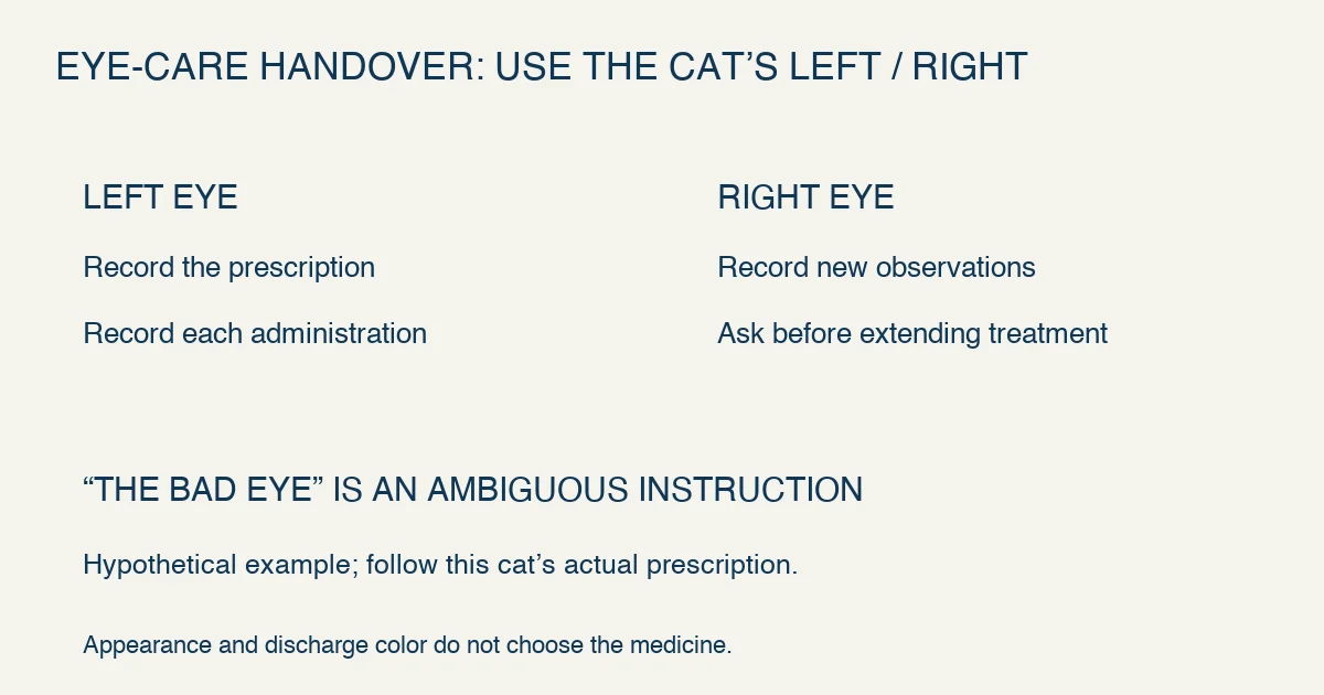 Original eye-care handover example labels the cat’s left and right eye separately and keeps new observations separate from the prescribed instructions.
