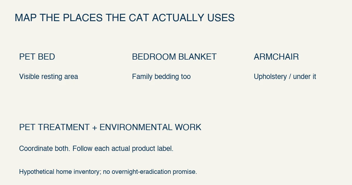Original household flea plan maps three actual resting locations in a hypothetical home and pairs animal-specific treatment with cleaning; a pet bed alone is not the whole environment.