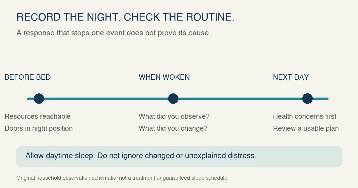 Original overnight timeline separates checking bedtime resource access, recording the cat event and the human response, and reviewing health concerns and routine the next day while allowing daytime sleep.