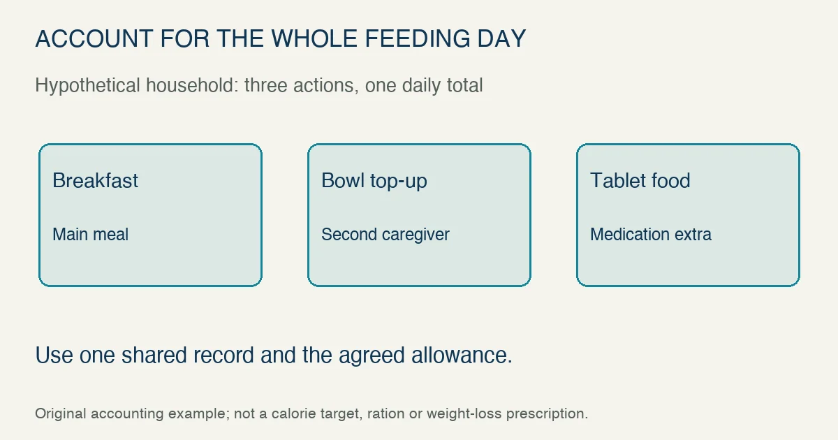 Original hypothetical feeding audit adds breakfast, a second caregiver’s bowl top-up and tablet food to one shared daily record; it supplies no calorie target or ration.