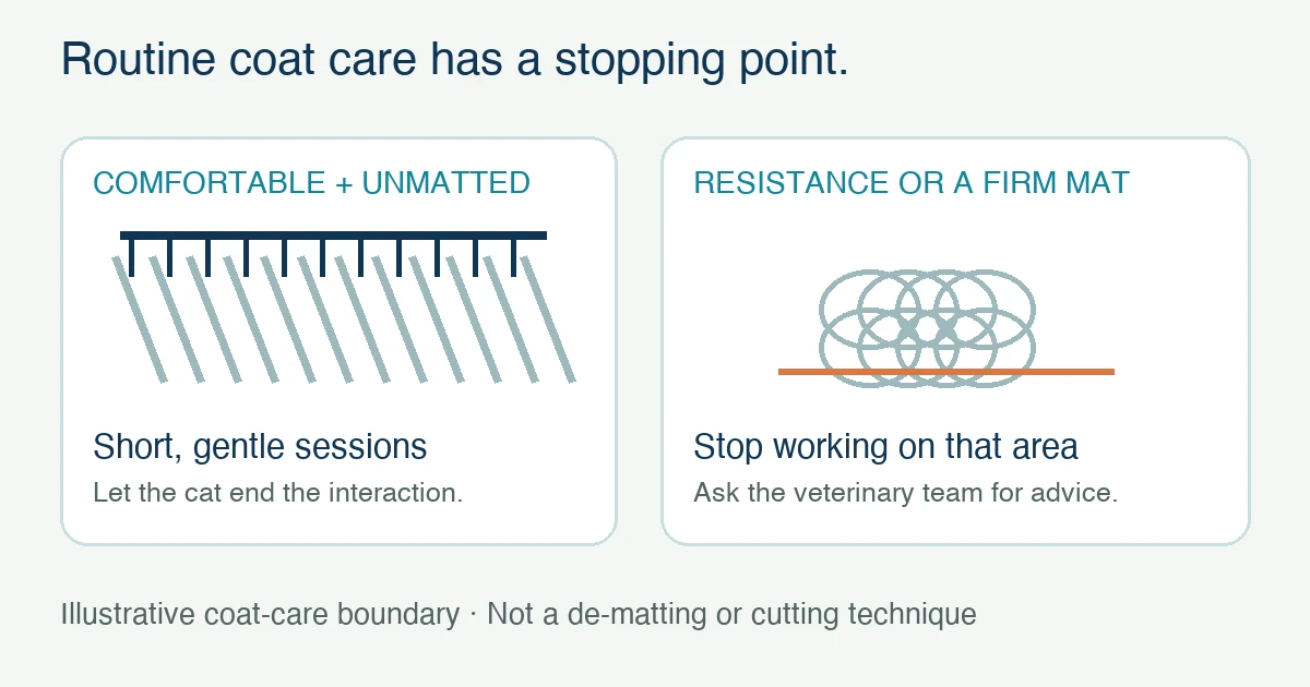 A routine grooming illustration separates comfortable unmatted coat care from resistance or a firm mat requiring a stop and veterinary advice.