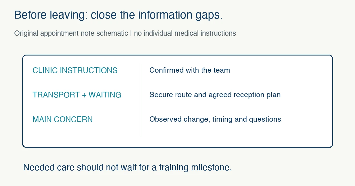 Original appointment preparation schematic lists clinic instructions, secure transport and waiting, and the main observed concern; needed care should not wait for training.