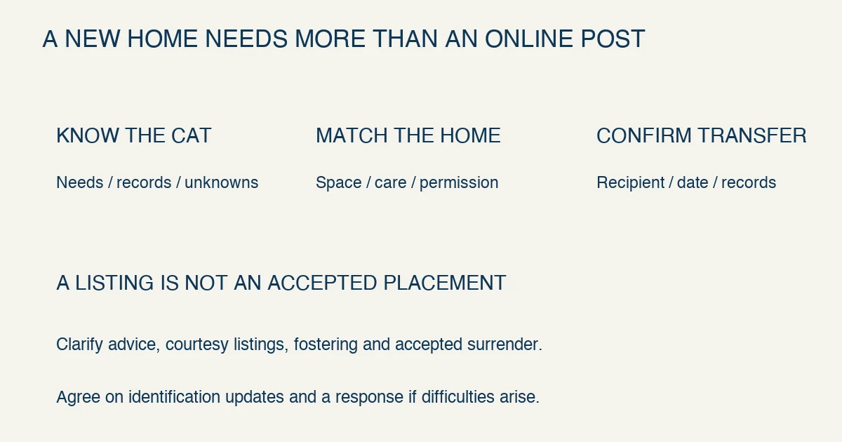 Original rehoming planning note separates an honest cat profile, a matched household and a confirmed handover; a listing or message is not an accepted placement.