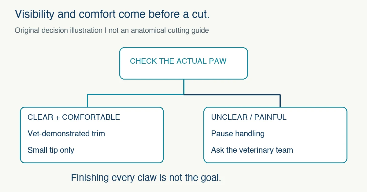 Original decision illustration separates a clearly visible, comfortable, vet-demonstrated small-tip trim from uncertain or painful paws requiring a pause and veterinary advice.