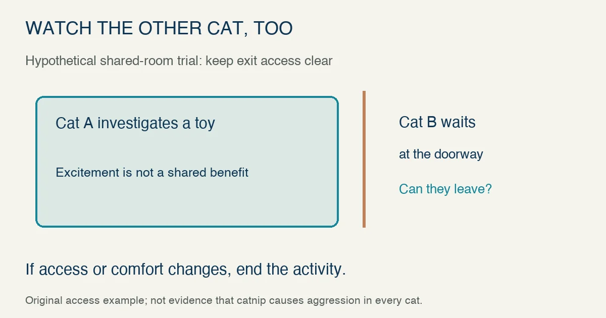 Original hypothetical catnip trial: one cat investigates a toy while another waits at a doorway; monitor the second cat’s ability to leave and end the activity if access or comfort changes.